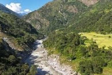 माथिल्लो अरुण आयोजना निर्माणका लागि काटियो दुई हजार बढी रुख